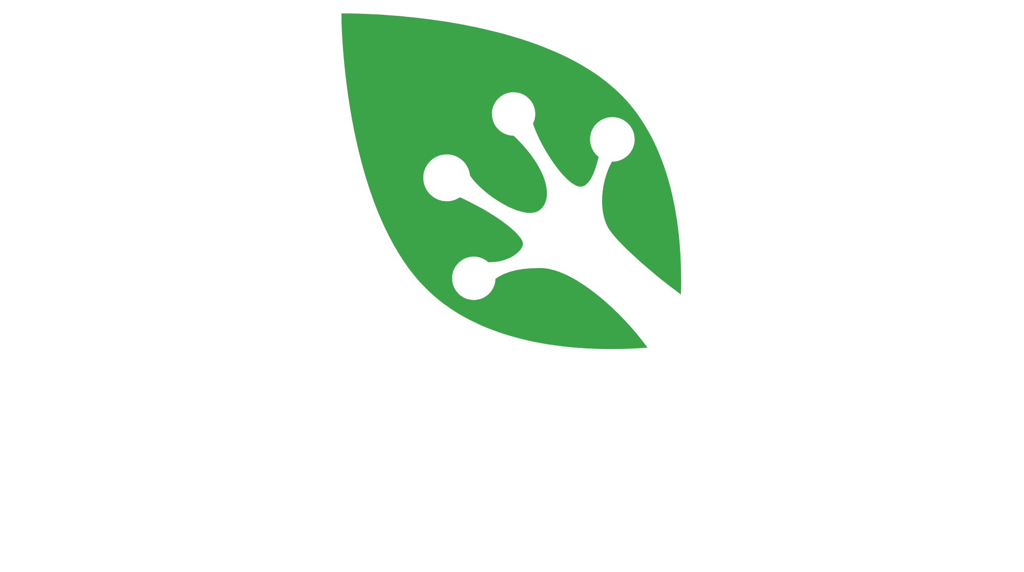 SpringWager Logo